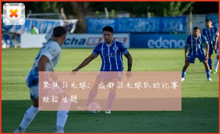 聚焦羽毛球：成都羽毛球队的比赛经验话题