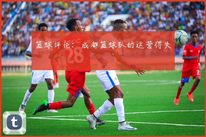 篮球评论：成都篮球队的运营得失