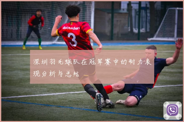 深圳羽毛球队在冠军赛中的耐力表现分析与总结