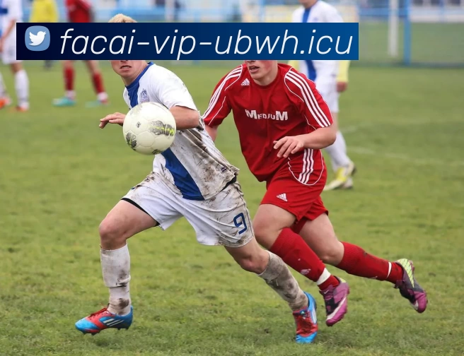 九游体育注册平台生态图